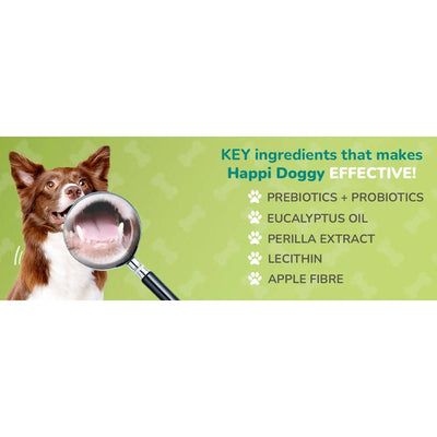 Happi Doggy Dental Chew Care Skin & Coat Support Honey & Coconut Oil