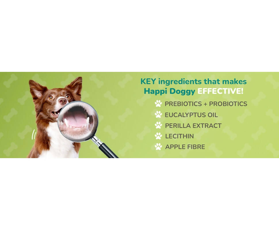 Happi Doggy Dental Chew Care Skin & Coat Support Honey & Coconut Oil