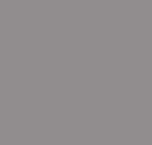 Brustro Twin Tip Alcohol Markers