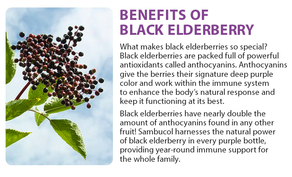 Sambucol Black Elderberry Throat Lozenges Pastilles with Vitamin C & Zinc, 20 Count