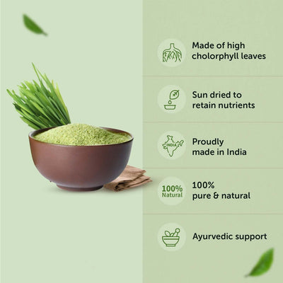 Organic Wheatgrass Powder for Improved Immunity & Digestion