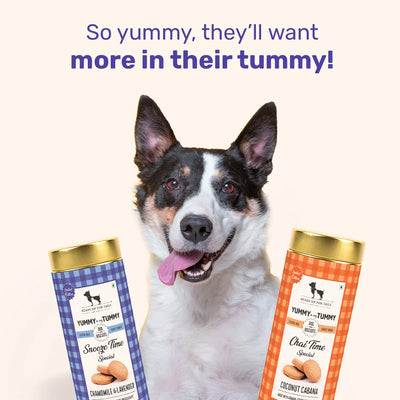 YIMT Snooze Time Special Chamomile & Lavender Dog Biscuits - 200 gms