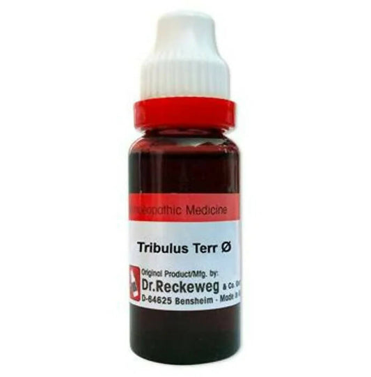 Dr. Reckeweg Gokshura Terr Mother Tincture Q