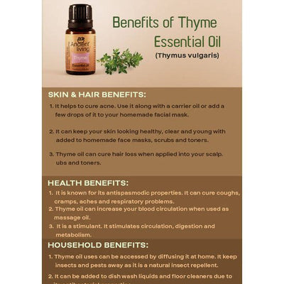 Ancient Living Thyme Essential Oil