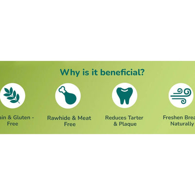 Happi Doggy Dental Chew Care Skin & Coat Support Honey & Coconut Oil