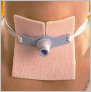 Allevyn Tracheostomy Drssings, 5/Box