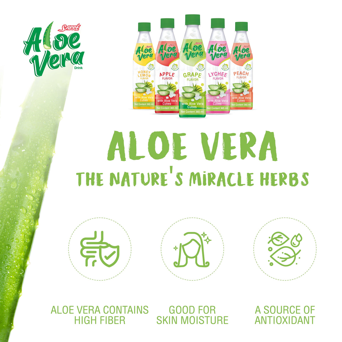 Aloe Vera Drink 365ml | Peach Flavour with 10% Aloe Vera Cubes | Ready to Drink