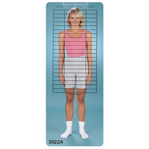 Baseline Posture Evaluation Kit