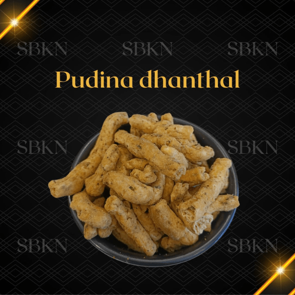Bhairav Namkeen Pudina dhantal - 500 gms