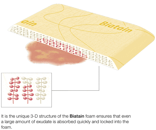 Biatain Sacral 9 x 9 Adhesive Border Dressings (5-Pack)