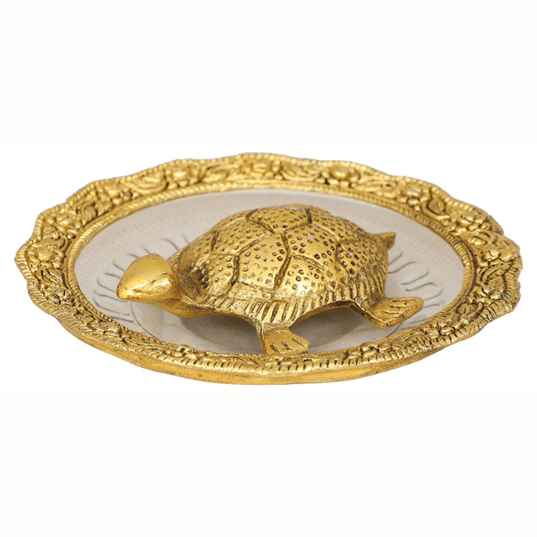 Tortoise on Glass Plate