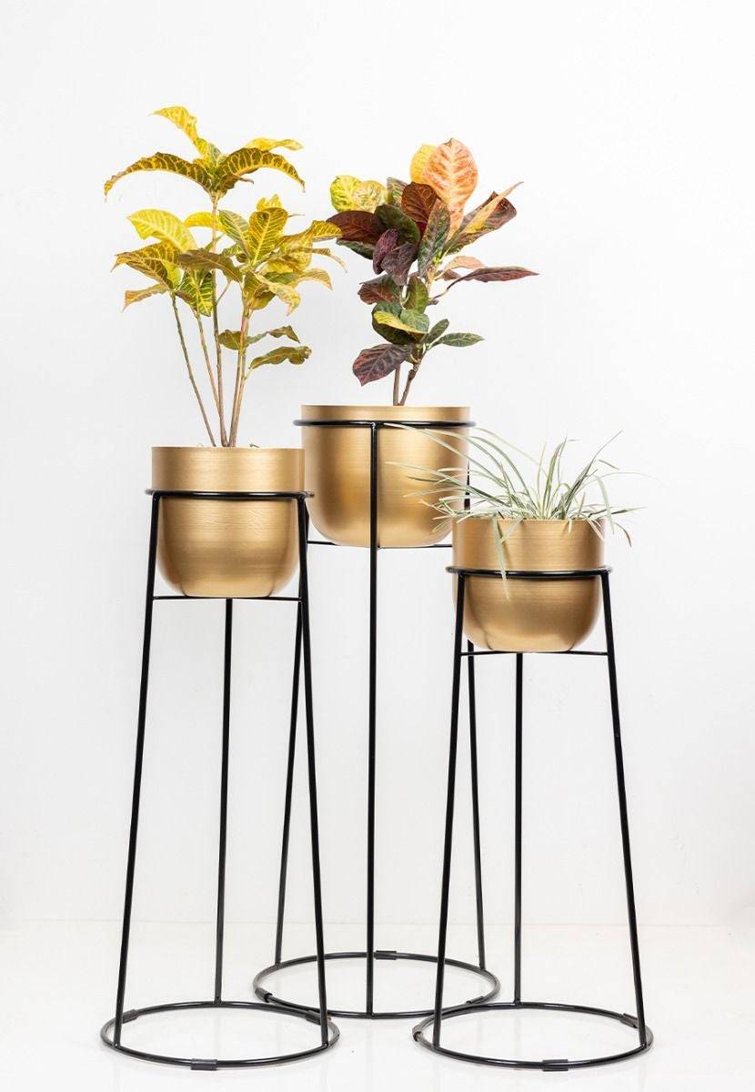 Golden Powder Coated Aluminium Planters (Set of 3)