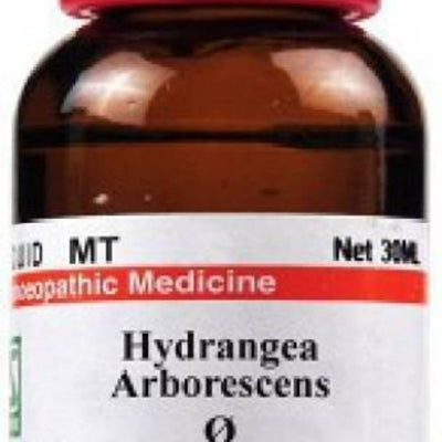 Dr. Willmar Schwabe India Hydrangea Arborescens Mother Tincture Q
