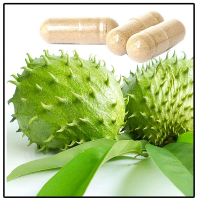Alavi Graviola/Soursop Fruit Dry Powder Capsules