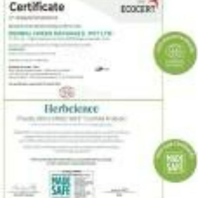 Herbcience Natural Glow Pro-Collagen Face Cream
