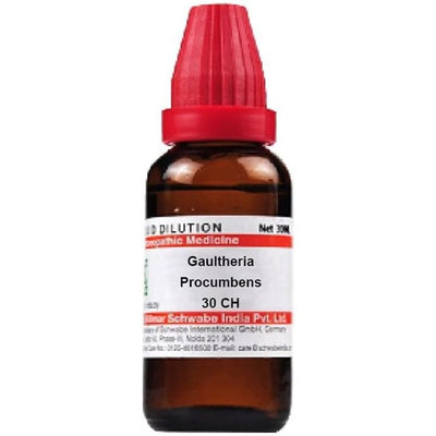 Dr. Willmar Schwabe India Gaultheria Procumbens Dilution