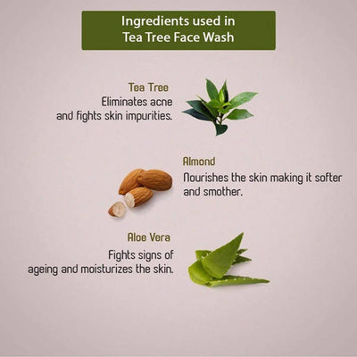 Ancient Living Tea Tree Face Wash