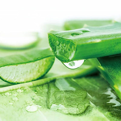 Herbal Essences Real Aloe And Eucalyptus Shampoo