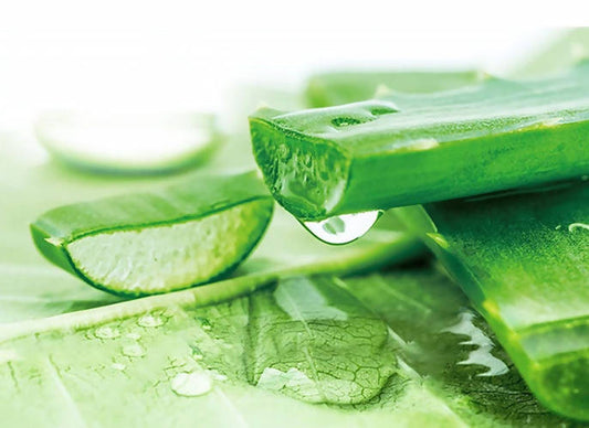 Herbal Essences Real Aloe And Eucalyptus Shampoo