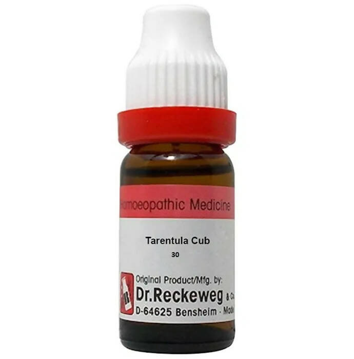 Dr. Reckeweg Tarentula Cub Dilution