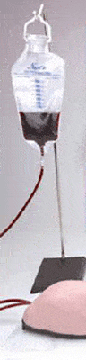 Advanced Adult IV Training Arm