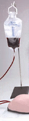 Advanced Adult IV Training Arm