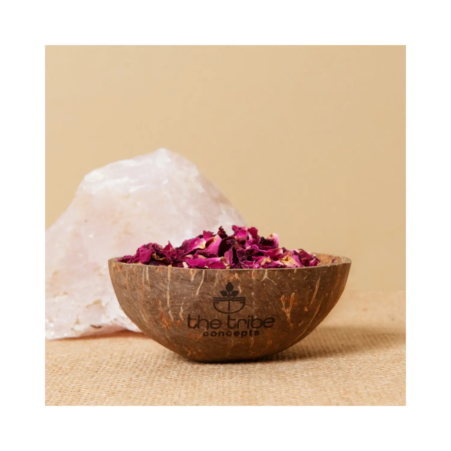 The Tribe Concepts Coconut Bowl