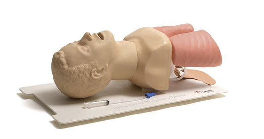 Laerdal Airway Management Trainer Manikin, Adult