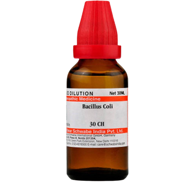 Dr. Willmar Schwabe India Bacillus Coli Dilution