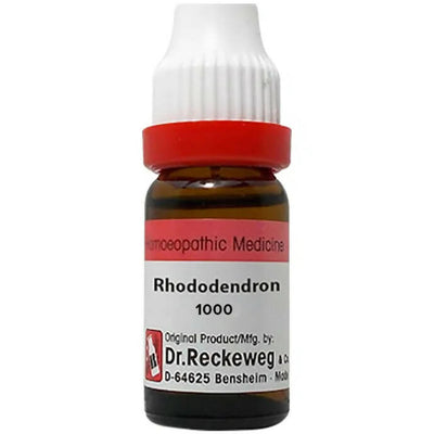 Dr. Reckeweg Rhododendron Dilution
