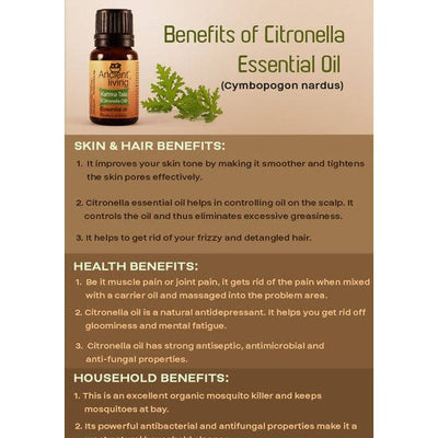 Ancient Living Kattrina Taila (Citronella Oil) Essential Oil