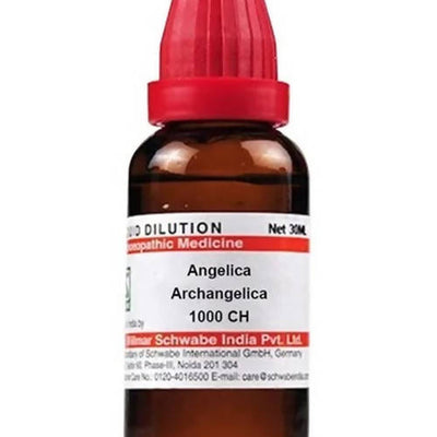 Dr. Willmar Schwabe India Angelica Archangelica Dilution