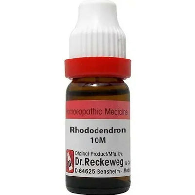 Dr. Reckeweg Rhododendron Dilution