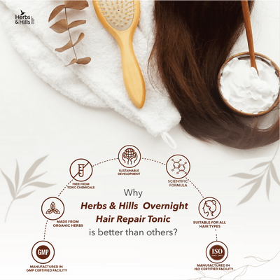 Herbs & Hills Overnight Hair Repair Tonic