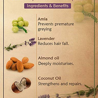 Ancient Living Gooseberry & Lavender Shampoo Bar