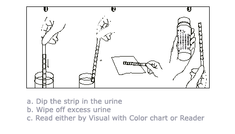 Uristix 4 Reagent Strips For Urinalysis 100/Bottle