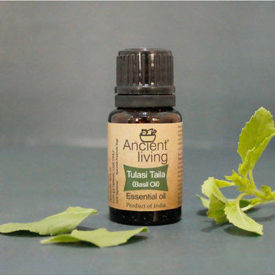 Ancient Living Tulasi Taila (Basil Oil) Essential Oil