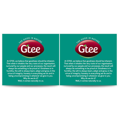 Gtee DIA-g-TEE Diabetic Friendly Tea with Gymnema, Bitter Gourd, Green Tea
