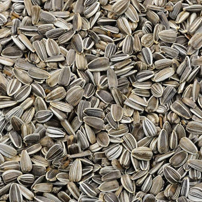 Freshon Organic Sunflower Seeds