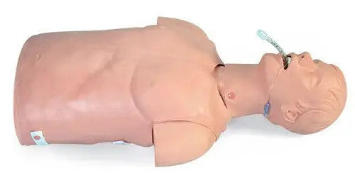 Simulaids Adult Airway Management Trainer Torso
