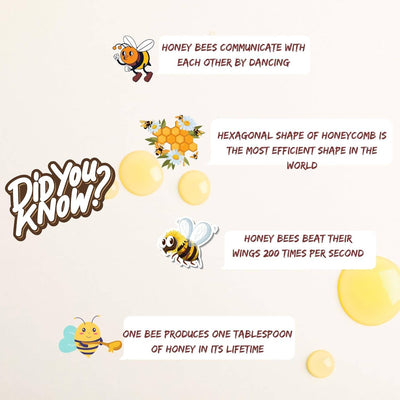 Earthen Story Wild Forest Honey