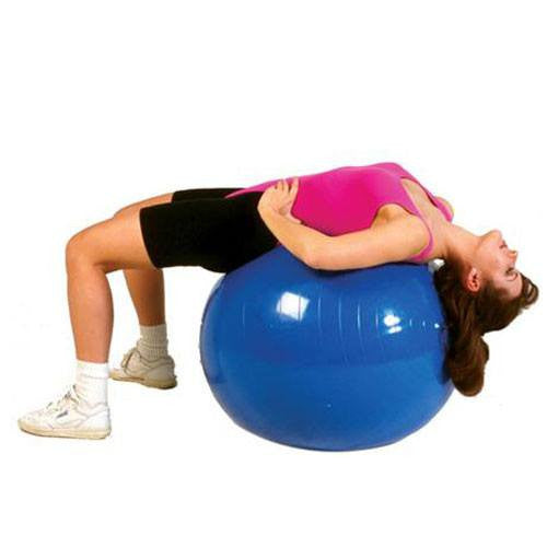 Thera-Band Exercise Balls