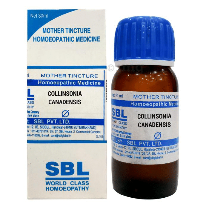 SBL Collinsonia Canadensis Mother Tincture Q - 30 ml
