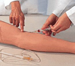 Advanced Adult IV Training Arm