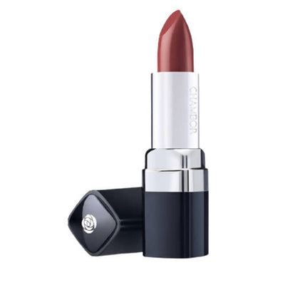 Chambor 163 Dusky Earth Powder Matte Lipstick