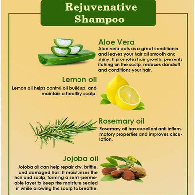 Ancient Living Rejuvenative Shampoo