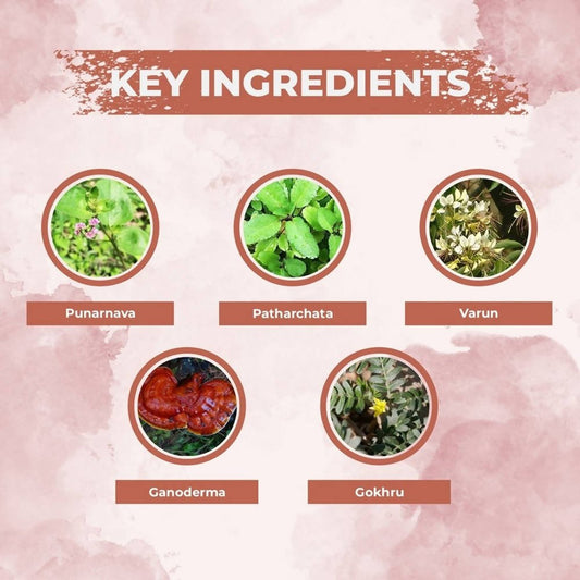 Ae Naturals Kidney Care Capsules