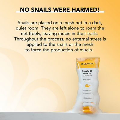 Bella Vita Organic Snail 99 Mucin Face Wash