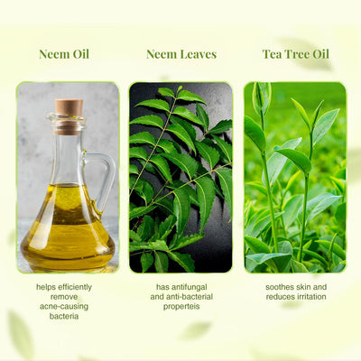 VLCC Ayurveda Skin Purifying Double Power Double Neem Face Wash (100 ml)