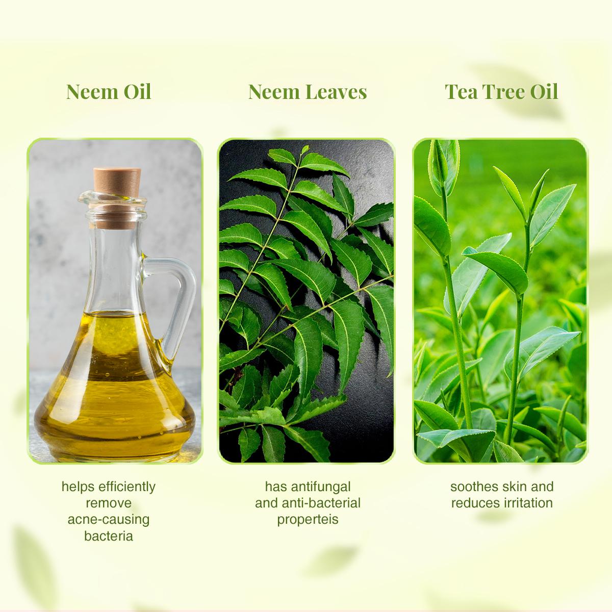 VLCC Ayurveda Skin Purifying Double Power Double Neem Face Wash (100 ml)